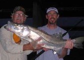 Florida keys fishing for Snook